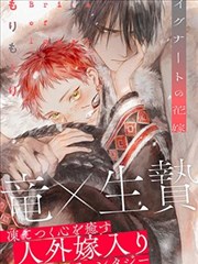 九尾黑猫